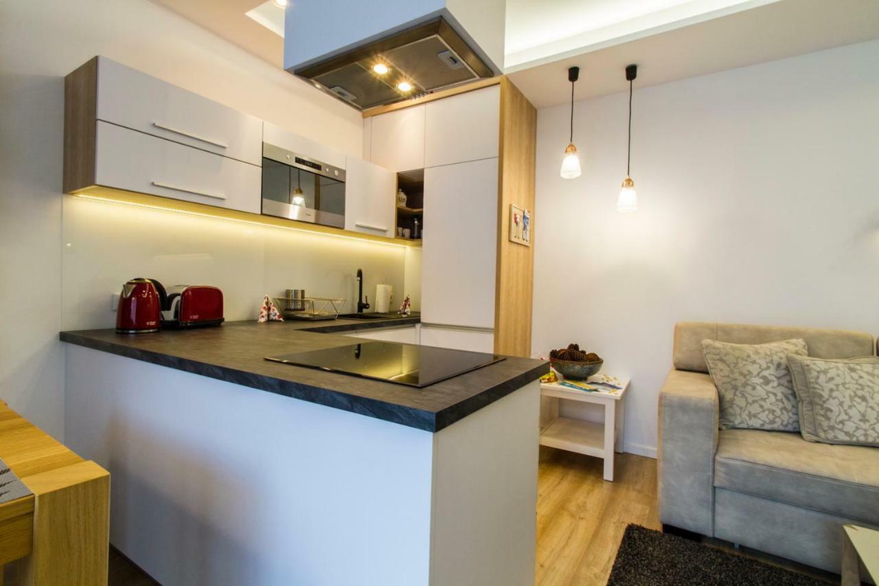 Apartament Pajo I -Rezydencja Tatry--Grota Solna--Taras--Garaz Podziemny Zakopane Exteriér fotografie